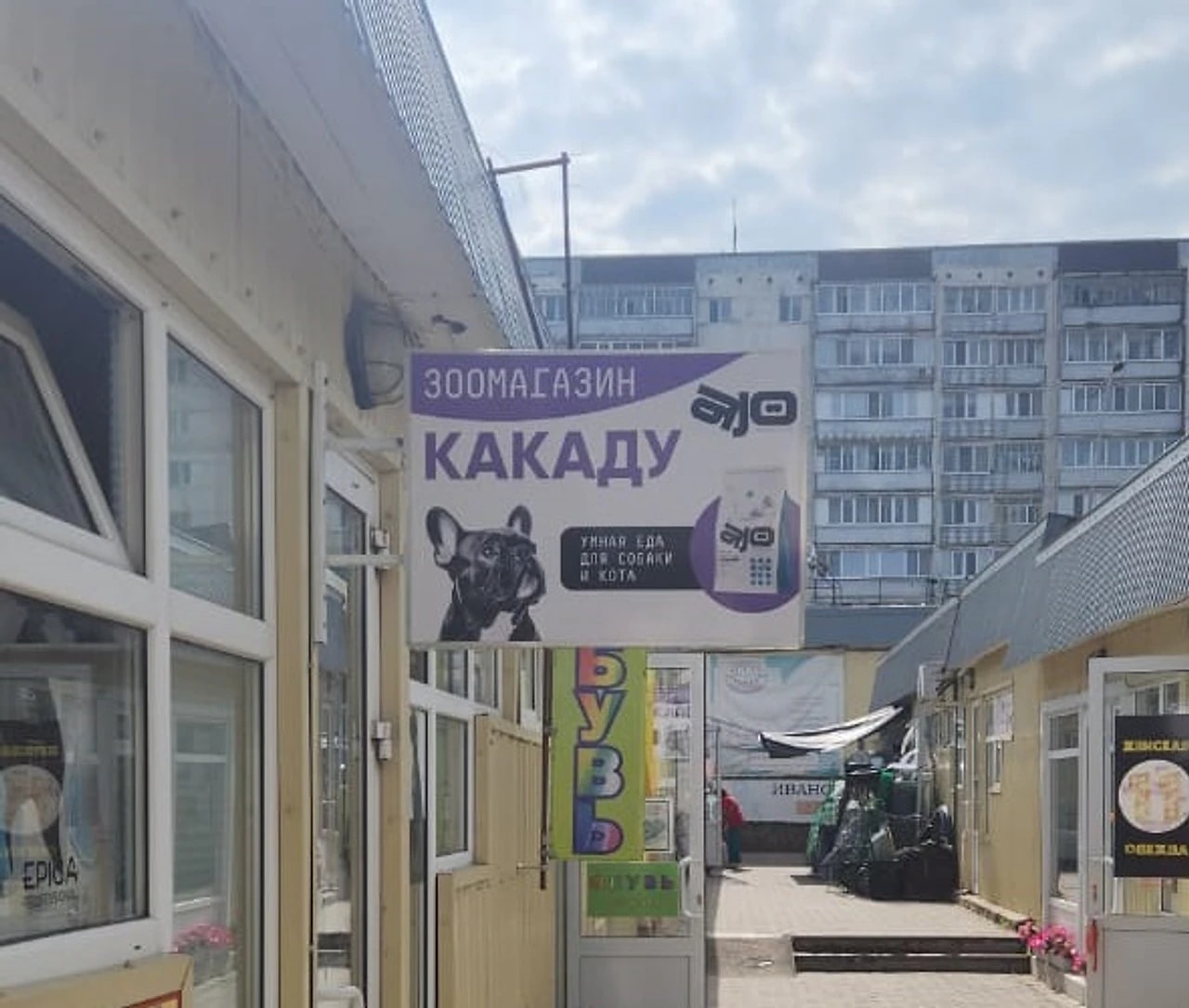 Какаду, Толедо